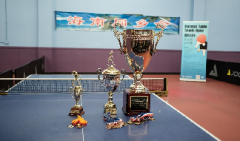 2023年秋季＂椰树杯＂乒乓球赛，华府乒乓球界的盛宴
